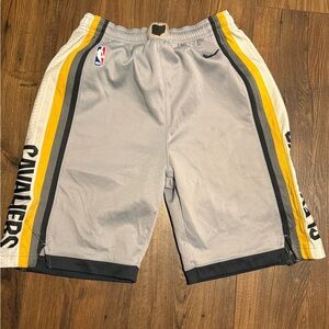 Nike NBA Gray Dri-FIT Shorts